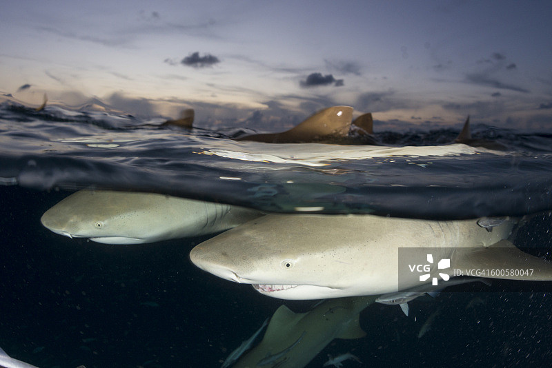 黎明时分的泰坦图片素材