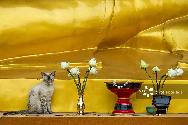 泰国清迈佛寺特写图片素材