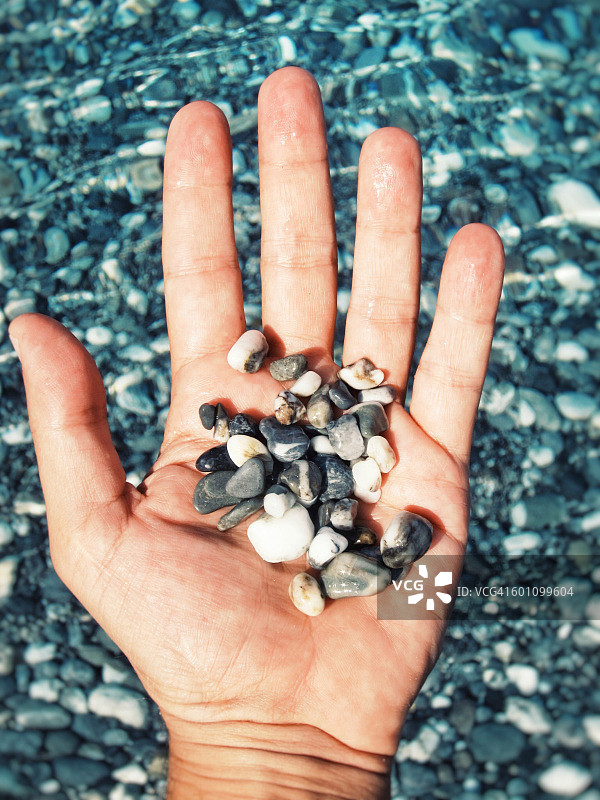 手掌上的贝壳和石头特写图片素材