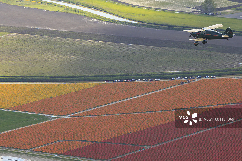 花田上的双翼飞机图片素材