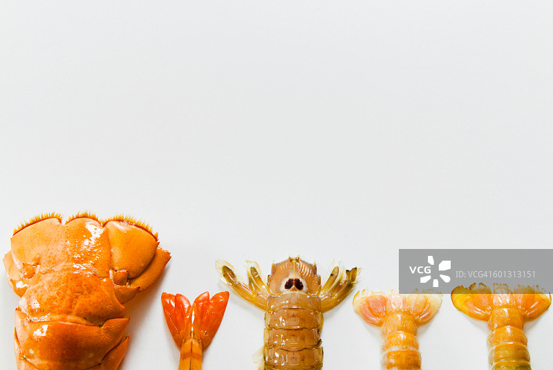 龙虾、虾、螳螂虾、小龙虾的尾巴图片素材