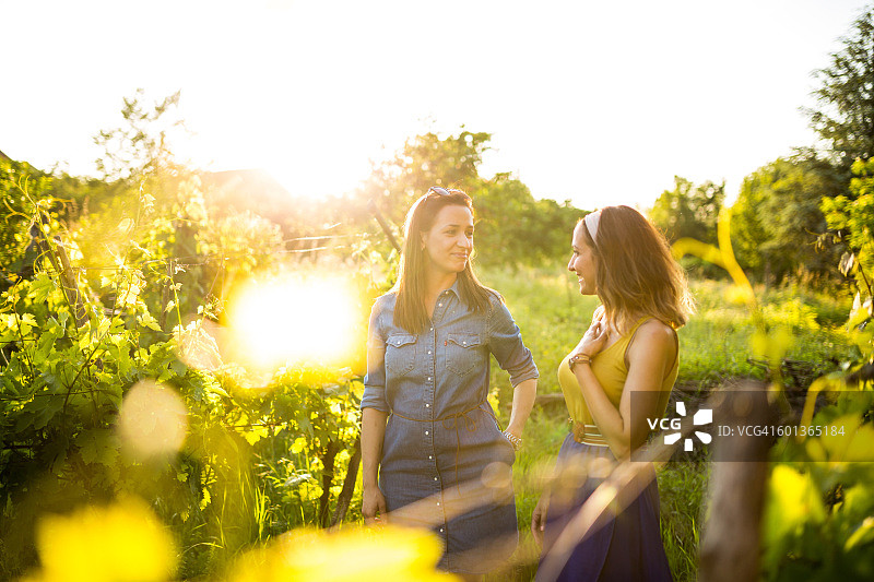 在葡萄园里交谈的女性朋友们图片素材