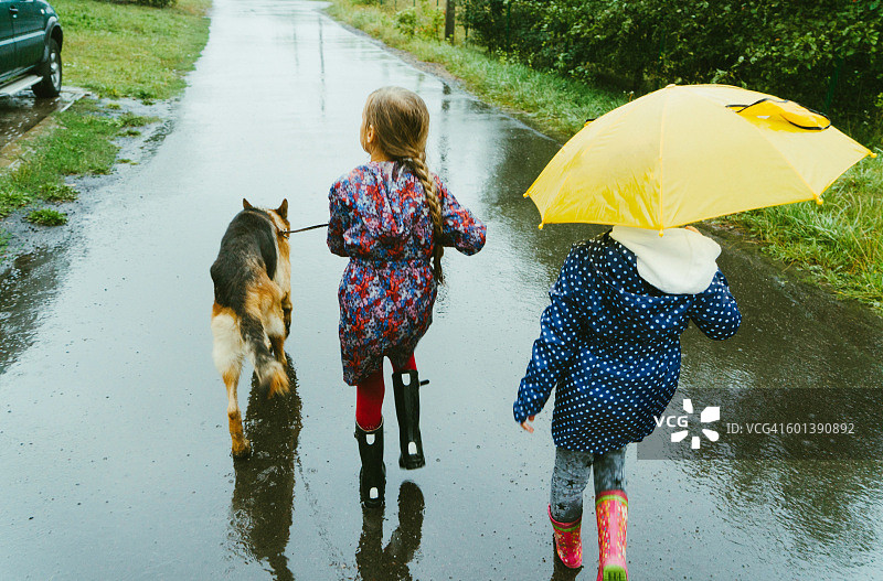 女孩们遛狗图片素材