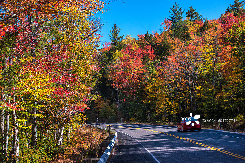 新英格兰秋色正浓，黄色、橙色和红色枫树令人眼花缭乱！图片素材