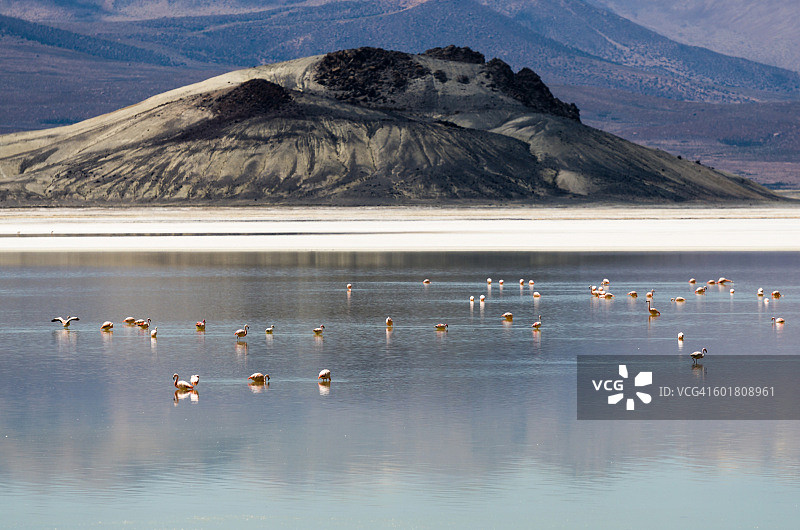 苏里雷盐湖，智利图片素材