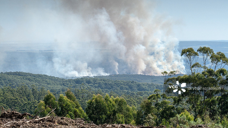 澳大利亚维多利亚州拉弗斯山森林火灾图片素材