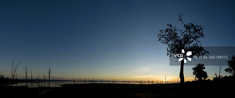 卡里巴湖，津巴布韦马图萨多纳国家公园的湖边树木轮廓图片素材