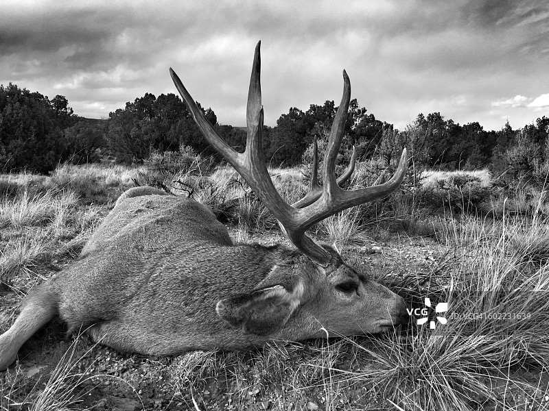 色彩故事-灰色图片素材