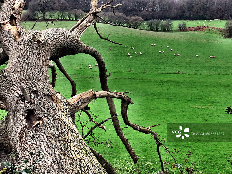 色彩故事-灰色图片素材
