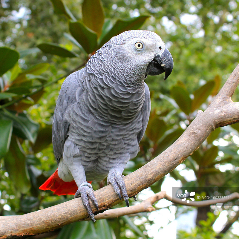 色彩故事-灰色图片素材