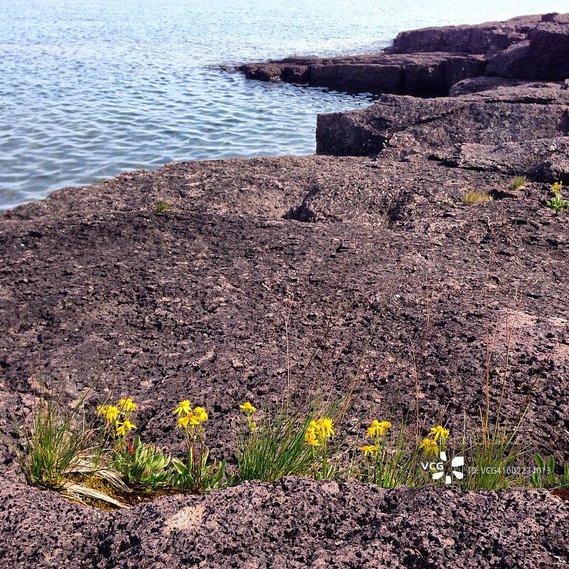 色彩故事-灰色图片素材