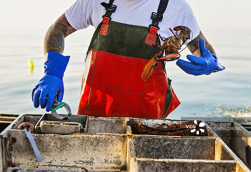 美国缅因州圣乔治渔民在扔龙虾图片素材