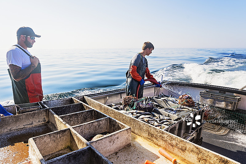 美国缅因州圣乔治两位渔民在清理船只图片素材