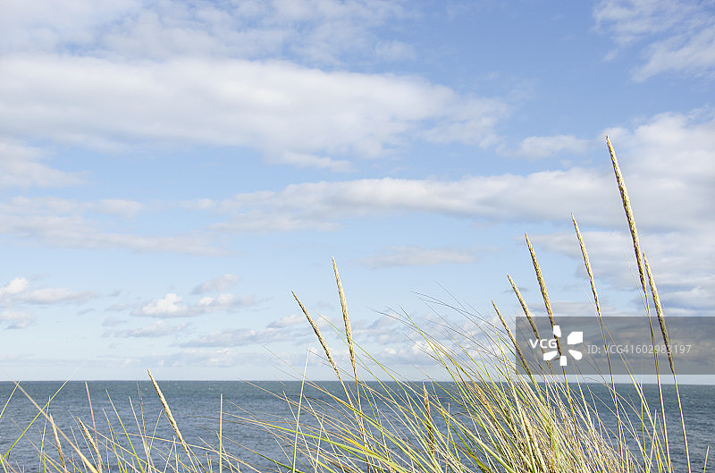 美国马萨诸塞州哈维奇港宁静的海景图片素材