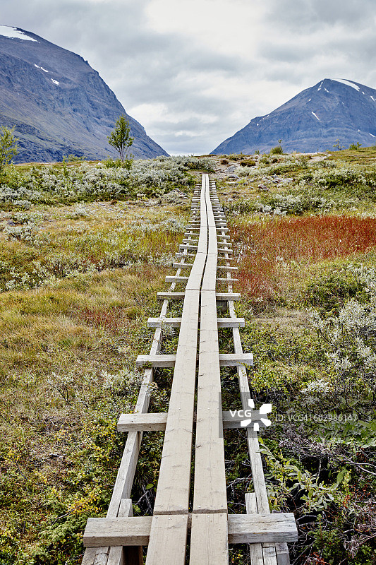 穿过草地的木制走道图片素材