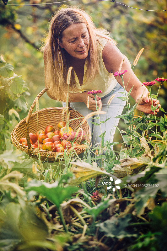 年长妇女在她的蔬菜花园闻花图片素材