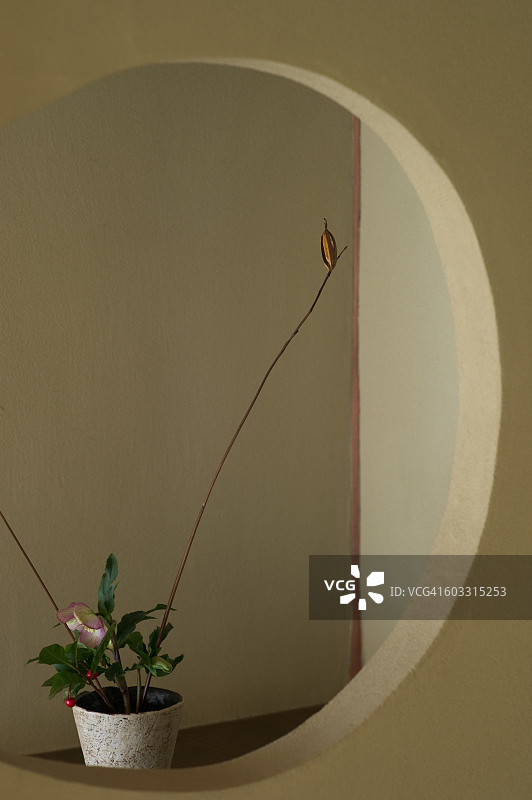 日式插花图片素材