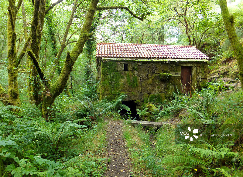 森林中的水磨坊图片素材