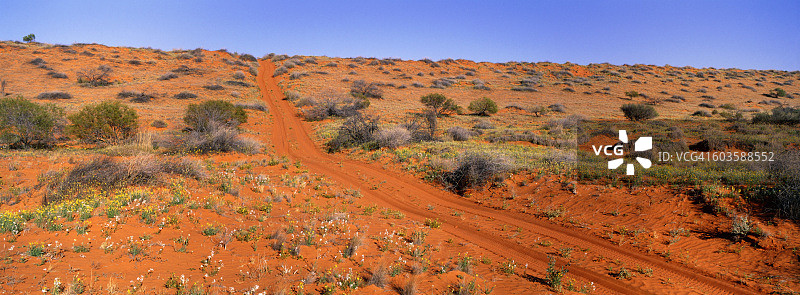 澳大利亚南澳大利亚州辛普森沙漠的红色沙丘上的轨道图片素材
