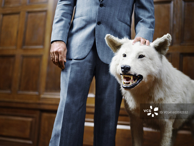 与咆哮的狼站在一起的商人图片素材