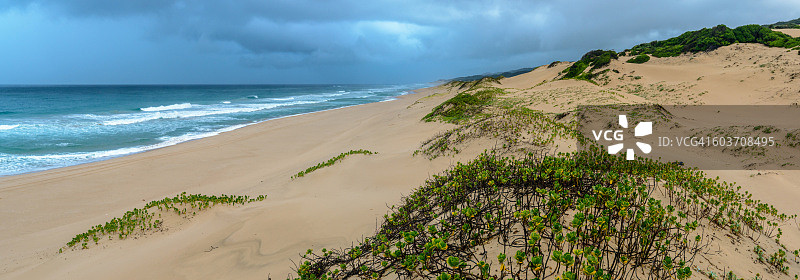 南非夸祖鲁-纳塔尔iSimangaliso湿地公园Mabibi的马普托兰海岸线海滩上的草图片素材