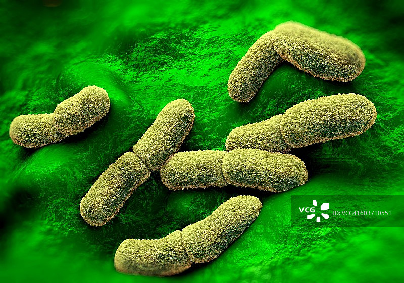 鼠疫耶尔森菌细菌图图片素材