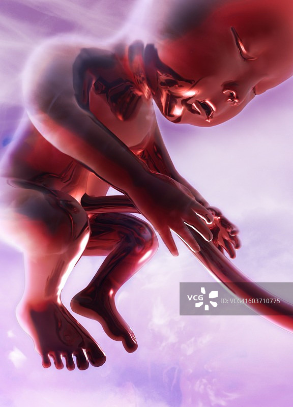 基因工程插图图片素材