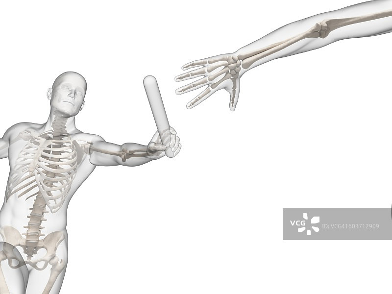 跑步者的骨骼系统，图示图片素材