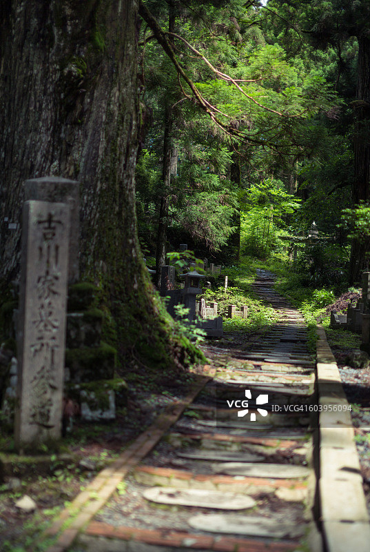 日本和歌山县高野山奥之院图片素材