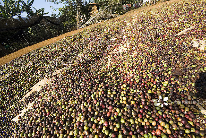 老挝巴色村博拉文高原图片素材