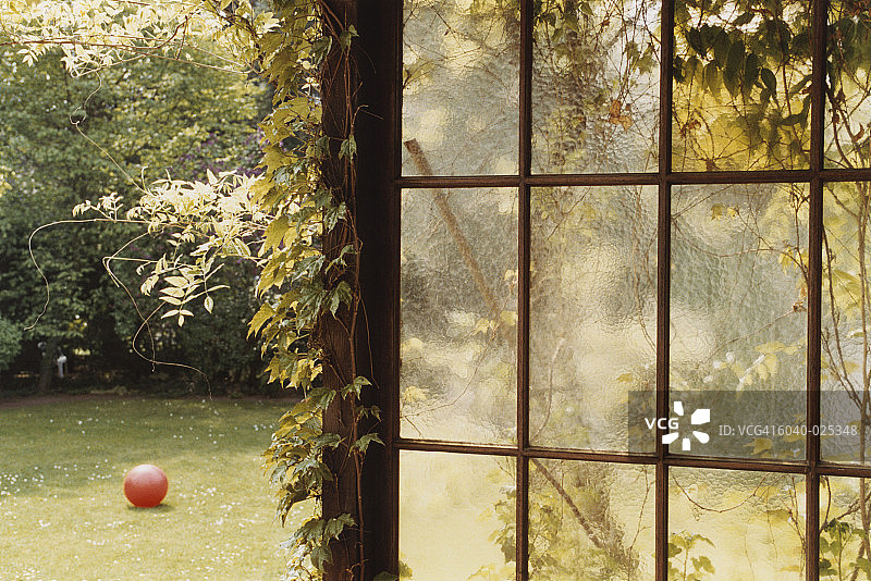 草坪上的球图片素材