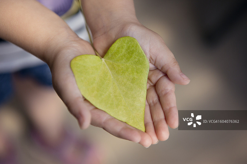 儿童手持心形常春藤叶图片素材
