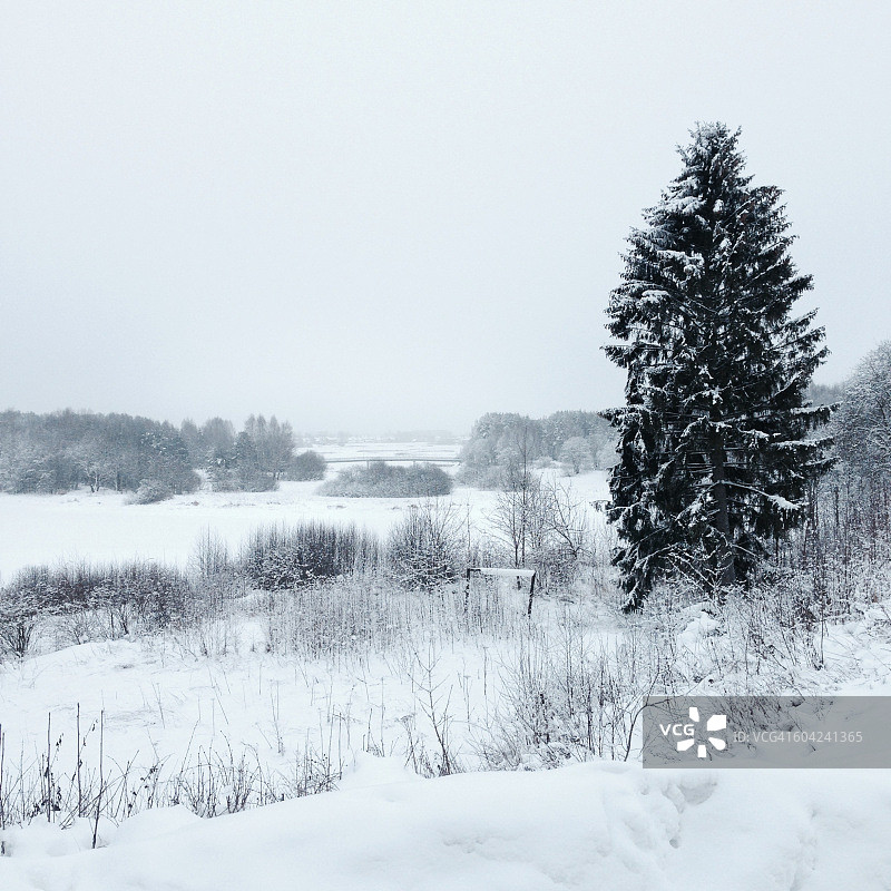 色彩故事-灰色图片素材