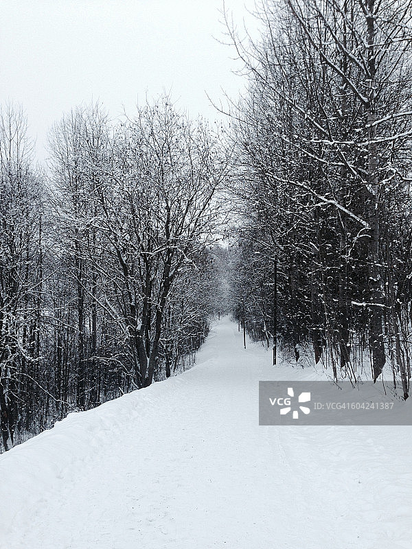 色彩故事-灰色图片素材