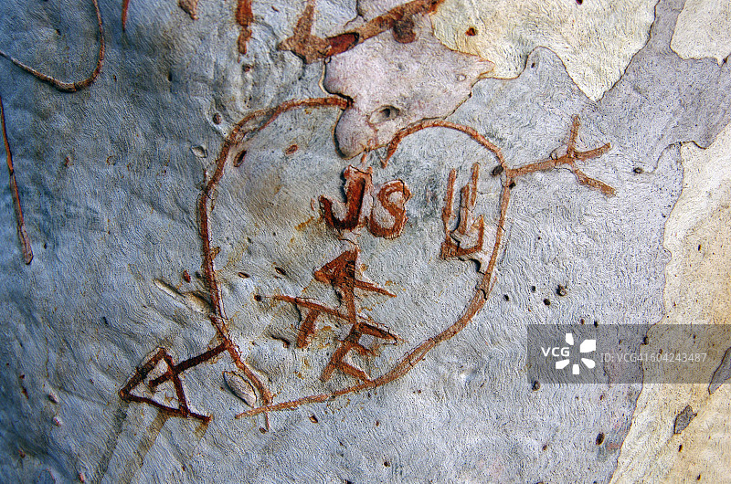 爱的象征图片素材