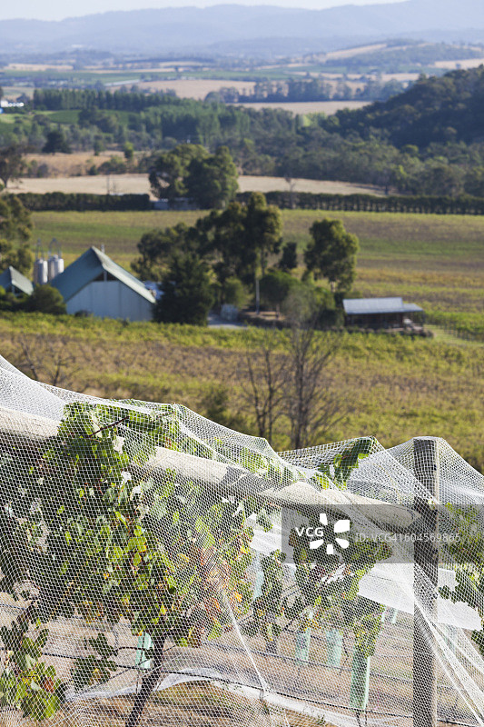 澳大利亚维多利亚州室外景观图片素材