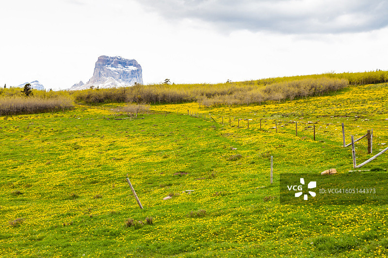 蒙大拿州冰川国家公园的酋长山图片素材