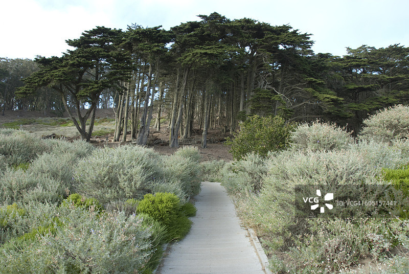 旧金山洛博斯小溪图片素材