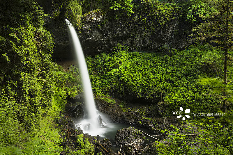 森林精灵的水池图片素材