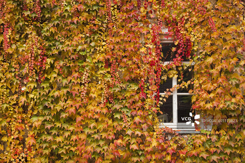 德国黑森州：细节图片素材