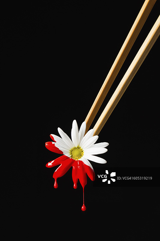 花、红墨水与筷子图片素材