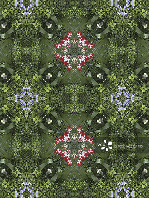 万花筒花卉图片素材