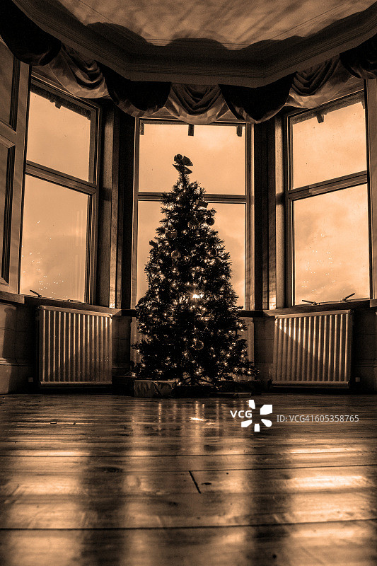 喜庆的圣诞树与礼物图片素材