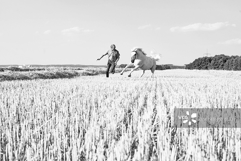男子在田野中训练飞驰骏马的黑白图像图片素材