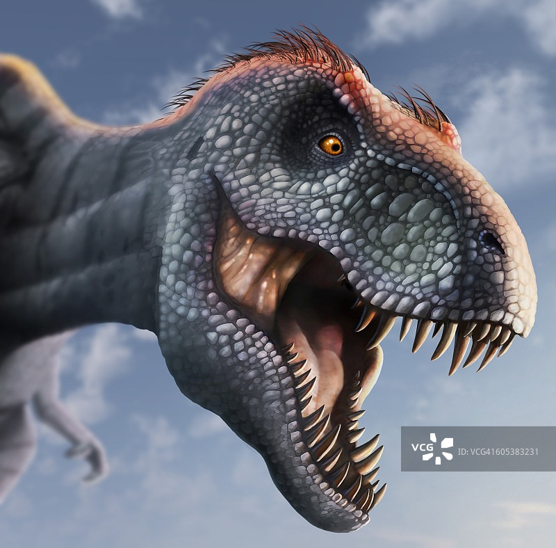 霸王龙头像插画图片素材