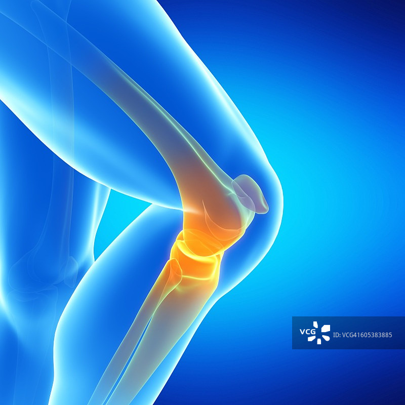 人类膝关节插图图片素材
