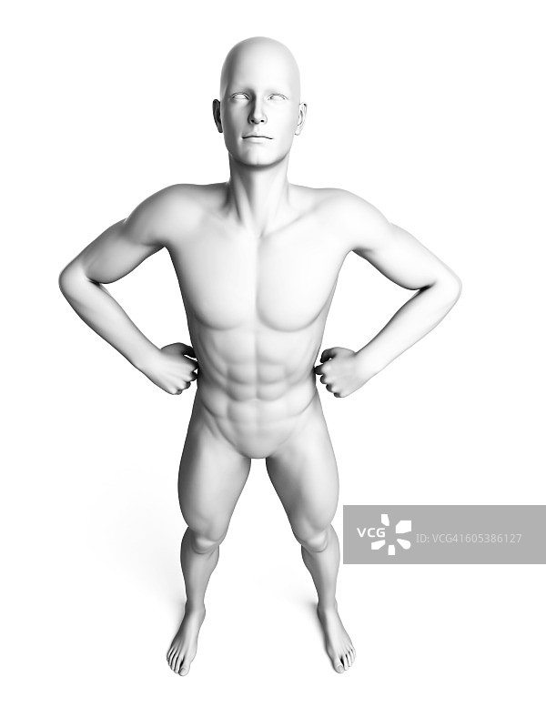 男人站立，双手叉腰，插图图片素材