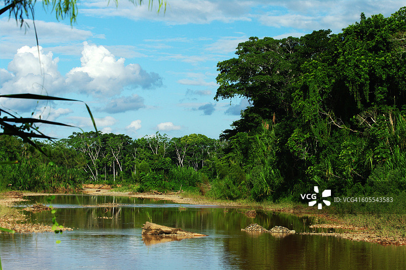 探索马迪迪丛林图片素材