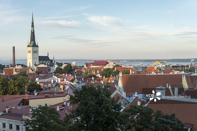 塔林老城天际线图片素材