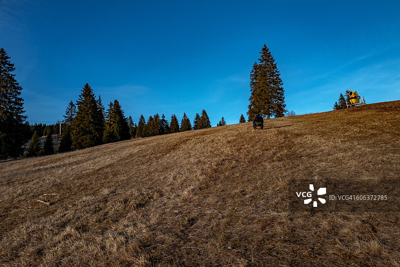 田野的风景对天空图片素材